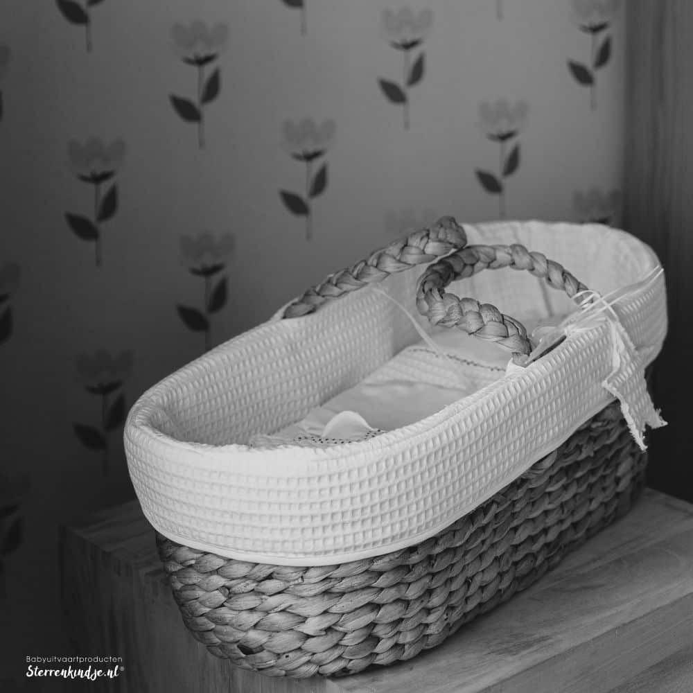 open draagmand waterhyacint